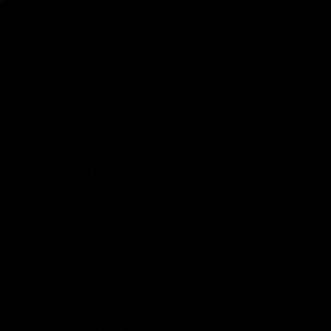 Meet your Posher, Verónica